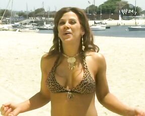 of the WWE in Bikinis!