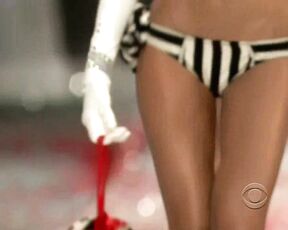 on the runway at the Victorias Secret Fashion Show 2008!