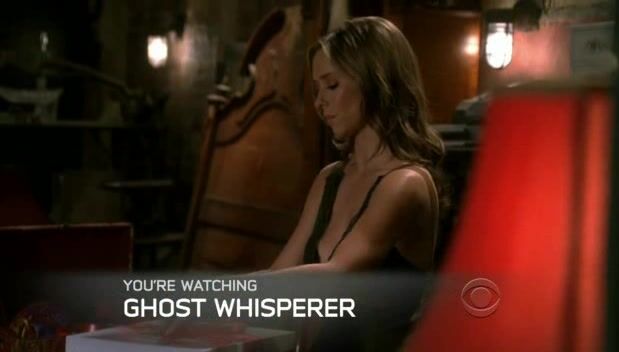 Cleavage from Ghost Whisper S4E11!