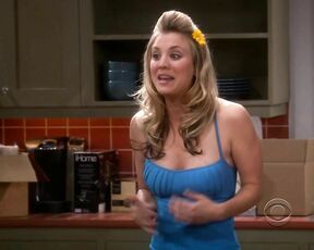 in super hot dress and girlfight on Big Bang Theory 2x19!