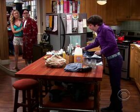 Sexy on The Big Bang Theory s03e04 hdtv720p!