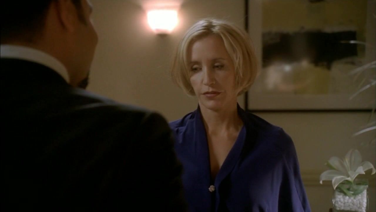 Cleavage on Desperate Housewives S6e4!