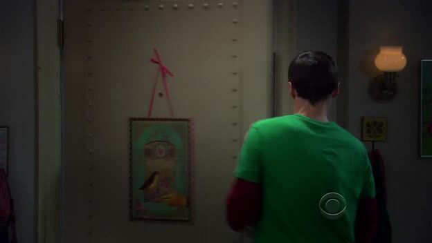 Showering on The Big Bang Theory S3 E8 HD!