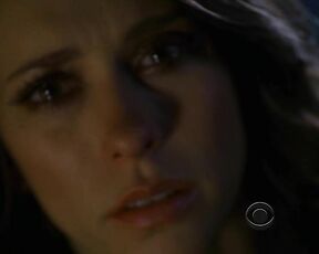 Cleavage on Ghost Whisperer s05e15 hdtv720p!