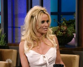 in slightly See-Through dress on the Tonight Show!