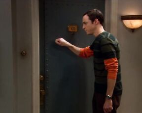 on The Big Bang Theory!