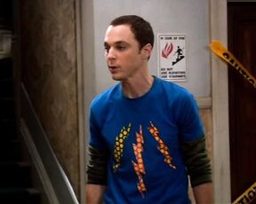 on The Big Bang Theory!