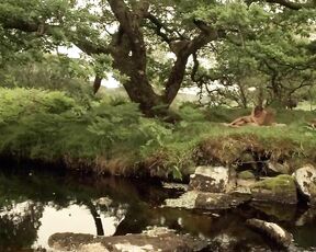 Completely Nude from Camelot s1e1 HiDef 720p!