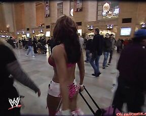 WWE Diva Skimpy Photoshoot in New York!