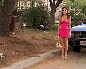 in pink dress on My Name is Earl s3ep19!